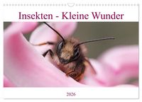 Produktbild: Insekten - Kleine Wunder (Wandkalender 2026 DIN A3 quer), CALVENDO Monatskalender
