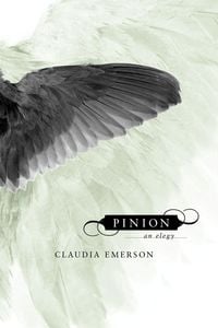 Produktbild: Pinion