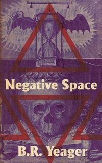 Bild vom Artikel Negative Space vom Autor B. R. Yeager