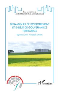 Produktbild: Dynamiques de d&eacute;veloppement et enjeux de gouvernance territoriale