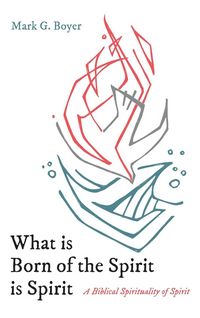 Produktbild: What is Born of the Spirit is Spirit