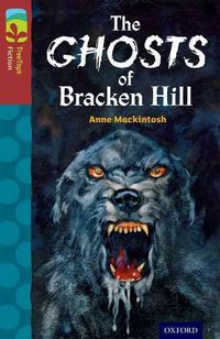 Produktbild: Oxford Reading Tree TreeTops Fiction: Level 15: The Ghosts of Bracken Hill