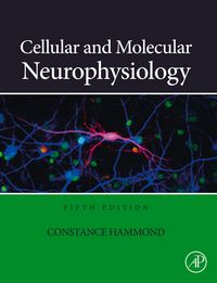 Produktbild: Cellular and Molecular Neurophysiology
