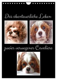 Produktbild: Das abenteuerliche Leben zweier verwegener Cavaliere (Wandkalender 2027 DIN A4 hoch), CALVENDO Monatskalender