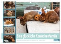 Produktbild: Eine gl&uuml;ckliche Kaninchenfamilie (Wandkalender 2026 DIN A3 quer), CALVENDO Monatskalender