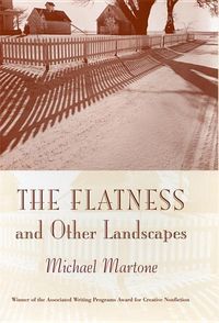 Produktbild: Martone, M: Flatness and Other Landscapes