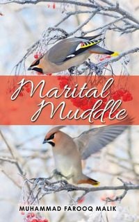 Produktbild: Marital Muddle