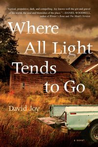 Produktbild: Joy, D: Where All Light Tends To Go