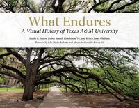Produktbild: What Endures