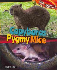 Produktbild: Capybaras & Pygmy Mice