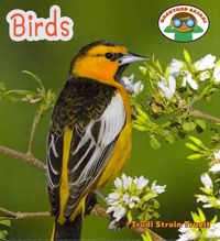 Produktbild: Birds
