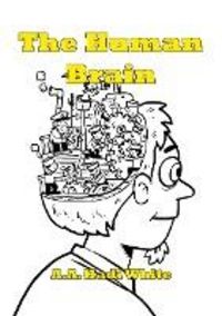 Produktbild: The Human Brain (Lost Between Details, #3)