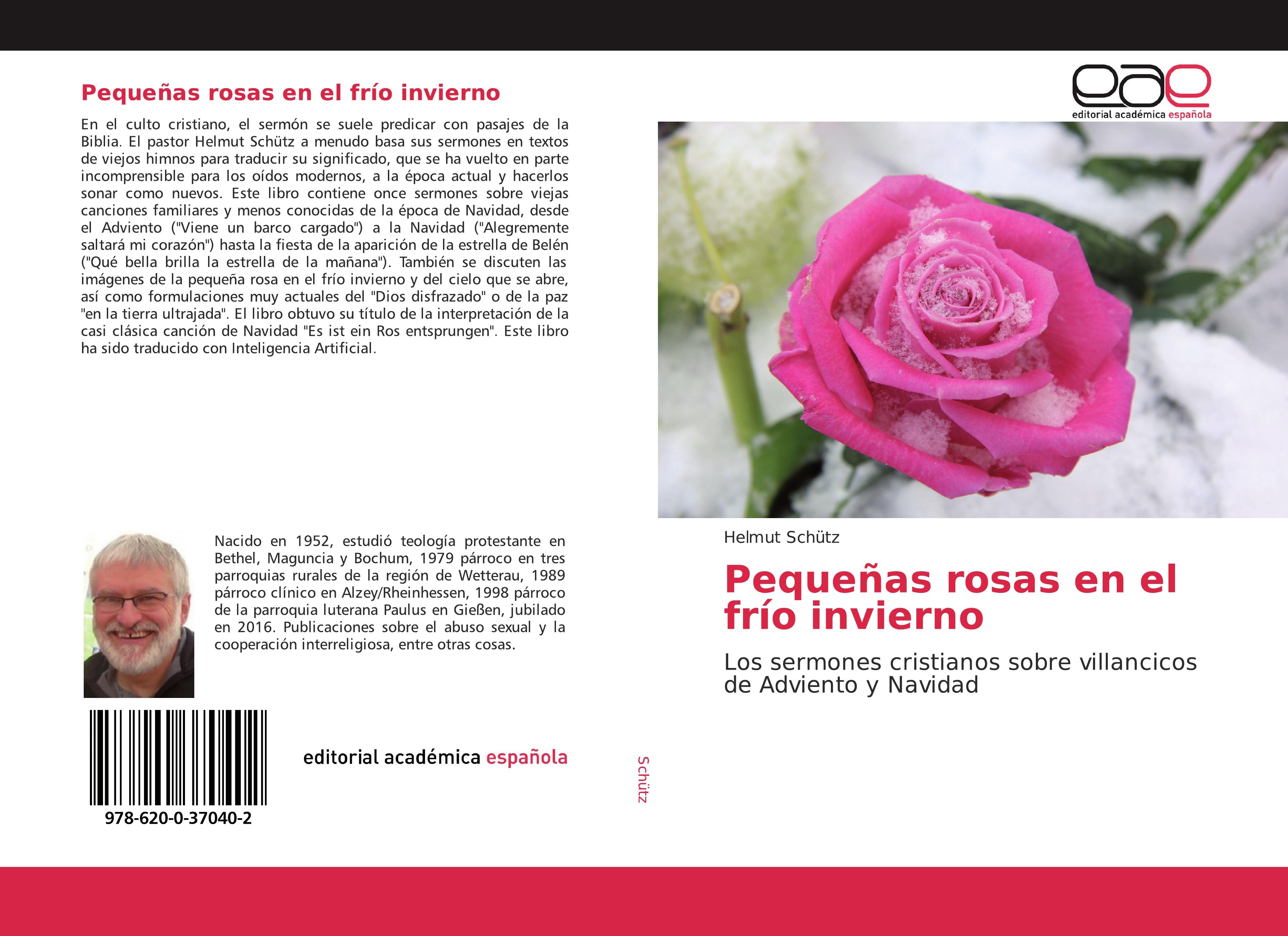 Produktbild: Peque&ntilde;as rosas en el fr&iacute;o invierno