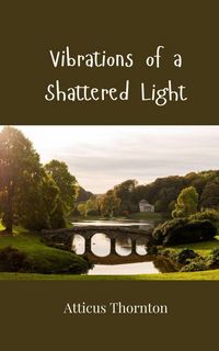 Produktbild: Vibrations of a Shattered Light