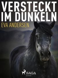 Bild vom Artikel Versteckt im Dunkeln vom Autor Eva Andersen