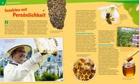 WAS IST WAS Band 19 Bienen und Wespen. Flüssiges Gold und spitzer Stachel