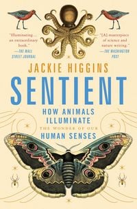 Produktbild: Sentient