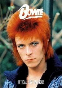 David Bowie Posterkalender 2024. Der Posterkalender mit den besten Bildern der Pop-Legende David Bowie als Wandkalender. von David Bowie