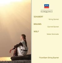 Bild vom Artikel Streichquintett/Klarinettenquintett/Serenade vom Autor Fitzwilliam String Quartet