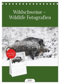 Produktbild: Tischplaner 2027 - Wildschweine - Wildlife Fotografien (A5 Tischkalender zum Aufstellen) CALVENDO