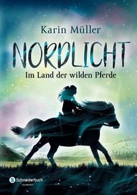 Produktbild: Nordlicht, Band 01