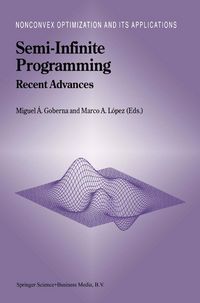 Produktbild: Semi-Infinite Programming
