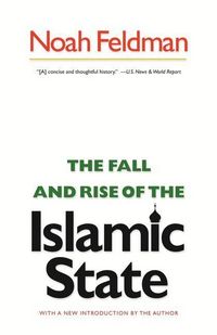 Produktbild: Fall and Rise of the Islamic State