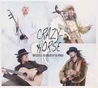 Bild vom Artikel Crazy Horse vom Autor Mathias & The Violins of the World Duplessy