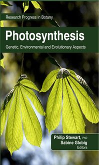 Produktbild: Photosynthesis