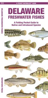Produktbild: Morris, M: Delaware Freshwater Fishes