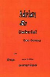 Produktbild: Adrian & Gabriel or Drugs, Sex and the Sunrise