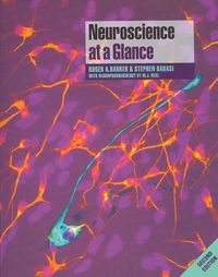 Produktbild: Neuroscience At a Glance