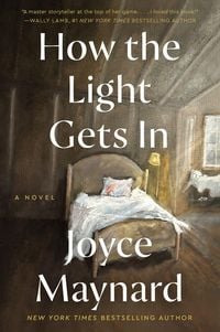 Produktbild: How the Light Gets In