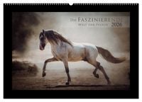 Produktbild: Die Faszinierende Welt der Pferde (Wandkalender 2026 DIN A2 quer), CALVENDO Monatskalender