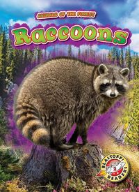 Produktbild: Raccoons