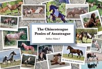 Produktbild: The Chincoteague Ponies of Assateague