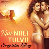 Produktbild: Kun Niili tulvii - eroottinen novelli