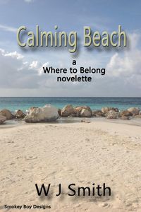 Produktbild: Calming Beach (Where to Belong, #2)