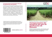 Produktbild: Termoeconom&iacute;a del beneficio del gas de gasificaci&oacute;n de biomasa
