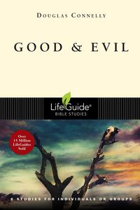 Produktbild: Good and Evil