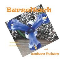 Produktbild: Burzeltach und andere Feiern