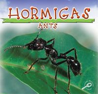 Produktbild: Hormigas