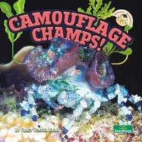 Produktbild: Camouflage Champs!