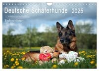 Produktbild: Deutsche Schäferhunde Seelentröster (Wandkalender 2025 DIN A4 quer), CALVENDO Monatskalender