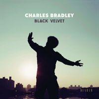 Produktbild: Black Velvet