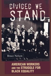 Produktbild: Divided We Stand