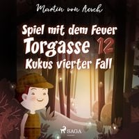 Produktbild: Spiel mit dem Feuer. Torgasse 12 - Kukus vierter Fall