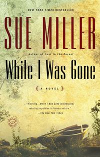 Produktbild: While I Was Gone