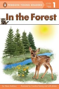Produktbild: In the Forest