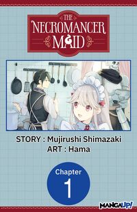 Produktbild: The Necromancer Maid #001